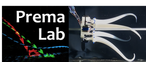 Prema Lab